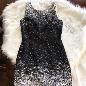 Katherine Kelly knee length black and white dress